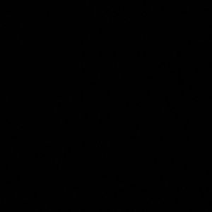 Meet your Posher, Anahi